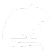 No Animal Testing Icon